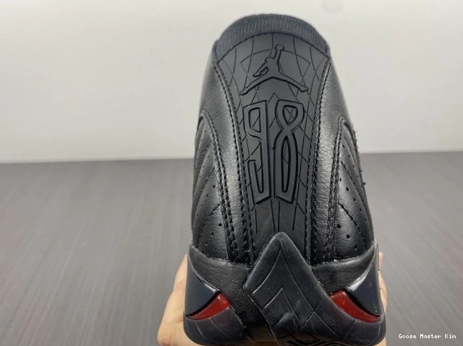487471-022 'Defining Moments' Air 14 Jordan Retro 0629
